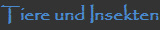 Tiere und Insekten